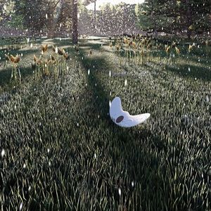 Auf dem Boden angekommen, sind die Bio-Gleiter einsatzbereit. Ihre Sensoren öffnen sich bei Kontakt mit Feuchtigkeit und messen dann den pH-Wert. Dieser wird per Drohne ausgelesen.(Bild:  Empa)