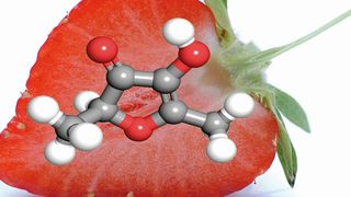  (Bild: W. Schwab/TUM)