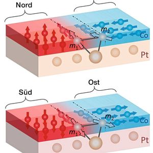 (Paul Scherrer Institut/Zhaochu Luo)