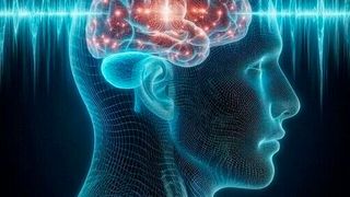 A groundbreaking new study reveals that changes to the gut microbiome can change the way the brain works.  (Source: Pixabay)