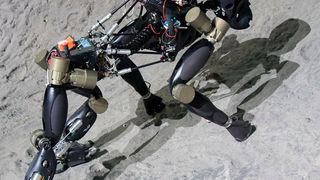 Der vierbeinige Laufroboter erklimmt die künstliche Kraterumgebung in der Weltraumexplorationshalle des DFKI. (Bild: Thomas Frank)