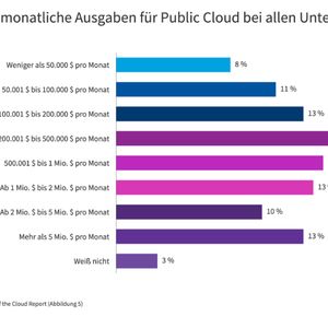 Mit der Migration und Entwicklung neuer Workloads in der Cloud steigen auch die Cloud-Ausgaben weiter. (Bild:  Flexera)