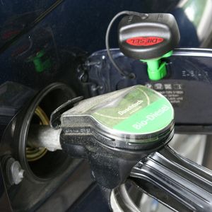 Platz 9: Biodiesel, 5,4 Mio. t CO2-Äq.   Im Verkehrssektor hat Biodiesel im Jahr 2018 rund 5 Mio. t CO2-Äq. eingespart. Auf dem Wasser könnte ein Schwimmfarn als Gleitmittel für Öltanker Vorbild stehen, und so den Schadstoffausstoß von Frachtschiffen erheblich senken.(Bild: Pixabay/goiwara)