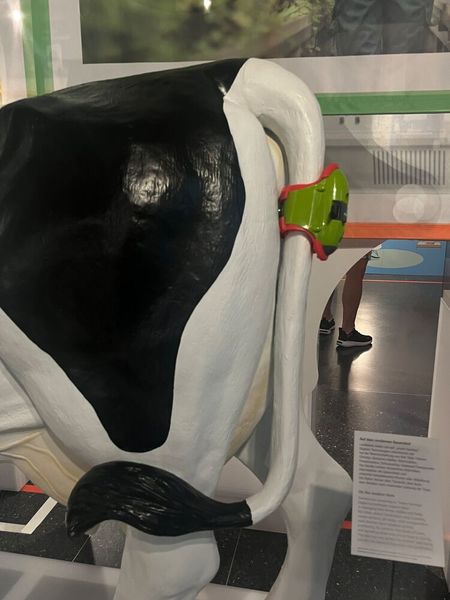 ... Schwanzchip. Durch die Überwachung der körperlichen Aktivitäten der Tiere können sowohl das Tierwohl als auch die Leistung der Tiere gesteigert werden.  (© cm)