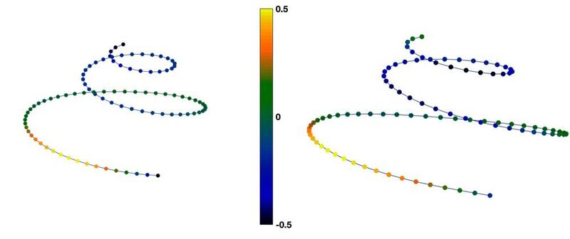 Average female (left) and male (right) shapes for the cochlear spiral curve, whose torsion has been coded on a coloured scale. While the two forms are oriented in the same way, the geometric differences are visible. (C. Samir, A. Fradi, and J. Braga)