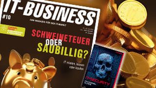 Lesen Sie die aktuelle Ausgabe der IT-BUSINESS. Den Link zum E-Paper finden Sie im Artikel.  (Bild: fotomek-stock.adobe.com / designprojects - stock.adobe.com / [M] Carin Boehm / Udo Scherlin)