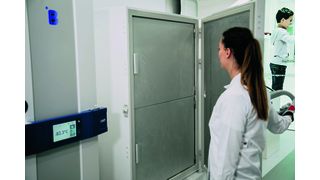 Tiefkühlschränke verbrauchen teilweise so viel Strom wie ein ganzer Haushalt. Umso wichtiger sind gute Isolierung und umweltschonende Kältemittel für eine weniger schlechte Umweltbilanz. (BMS)