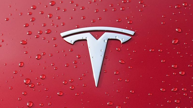 Tesla bekommt derzeit die Abneigung der Kunden wegen der Politik von Gründer Elon Musk zu spüren.(Bild:  frei lizenziert /  Pixabay)