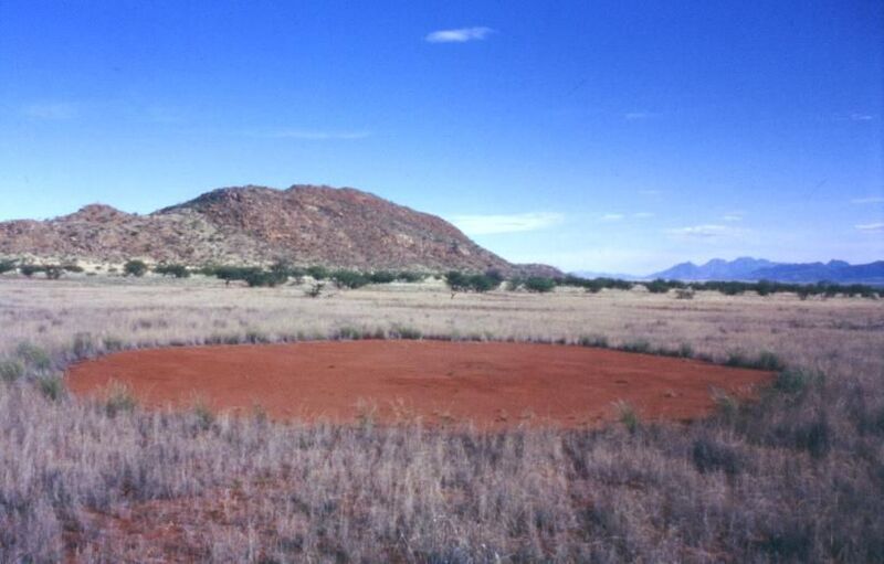 Feenkreis im Marienflusstal/Namibia; Hartmannberge im Hintergrund (Wikipedia, Thorsten Becker)
