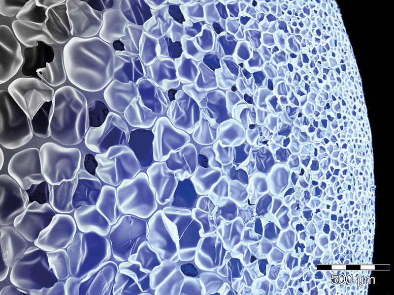 Die rasterelektronen-mikroskopische Aufnahme zeigt den BASF-Kunststoff mit seinen 30 bis 300 Mikrometer großen geschlossenen Luftzellen. (Bild: BASF)