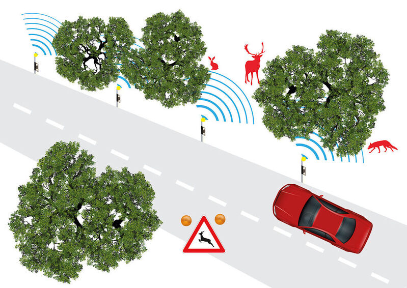 Im Rahmen des Projekts „SALUS“ kommunizieren energieautarke Sensoren am Straßenrand via LoRaWAN. 