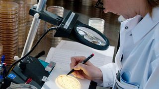 Intace mit Sitz in Paris ist ein Hersteller von Spezial-Fungiziden für die Verpackungsindustrie. (Ulla Anne Giesen)