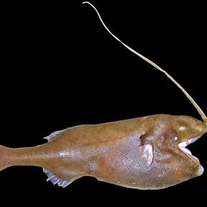 (Archiv: Vogel Business Media)