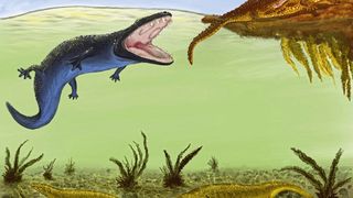 Metoposaurus (olivgrün, unten) führte eine bodenbewohnende Lebensweise, - wahrscheinlich um der Konkurrenz durch die größeren Cyclotosaurus (blau) und Phytosaurier Parasuchus (ockerbraun) zu entgehen. (Bild: Sudipta Kalita)