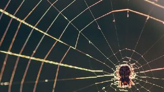 Laut Studie führt praktisch jede Cloud-Strategie zur Adaption eines Multi-Cloud-Ansatzes. (Bild: frei lizenziert Chikilino - Pixabay)