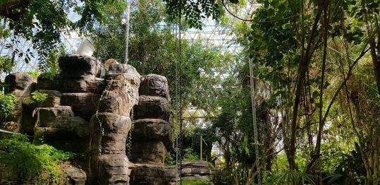 Geschlossener, künstlicher Regenwald im Biosphäre-2-Komplex in Arizona: Ein Forschungsteam des Max-Planck-Instituts für Chemie, der Universität Freiburg und der Universität von Arizona setzte den Wald drei Monate lang unter mäßigen und anschließend starken Trockenstress. Geschlossener, künstlicher Regenwald im Biosphäre-2-Komplex in Arizona: Ein Forschungsteam des Max-Planck-Instituts für Chemie, der Universität Freiburg und der Universität von Arizona setzte den Wald drei Monate lang unter mäßigen und anschließend starken Trockenstress.