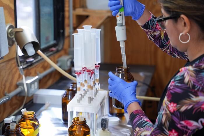 The novel method makes it possible to detect trace amounts of drugs of abuse in small fish. (Source: University of Waterloo)