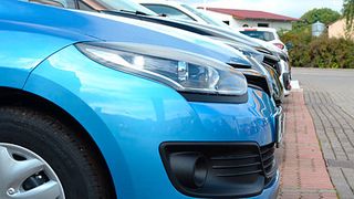 46759175 (Foto: Grimm)