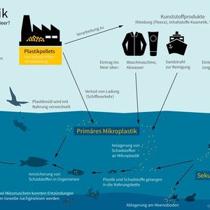 Einträge von primären und sekundären Mikroplastik in die Ozeane.