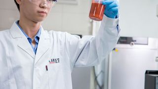 Lanxess hat die Bauarbeiten seiner neuen Produktionsanlage anorganische Pigmente in Ningbo/China beendet. Ab dem ersten Quartal 2016 sollen dann hier stark gesättigte Eisenoxidpigments hergestellt werden. (Bild: Lanxess)