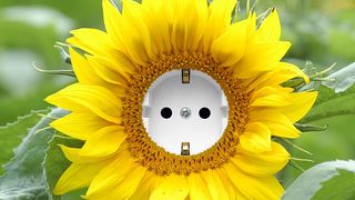 Das Netzwerk „Initiative zur nachhaltigen Rohstoffbereitstellung für die stoffliche Biomassenutzung“ hat sich auf wesentliche Kriterien zum Nachweis der ökologischen, sozialen und wirtschaftlichen Nachhaltigkeit geeignet und bereitet nun deren Umsetzung in Pilotprojekten vor. (Bild: FNR)