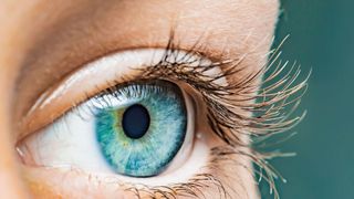 Wenn es uns nützt, passt sich unsere visuelle Wahrnehmung flexibel und unbewusst dem Entscheidungskontext an. (Bild: by-studio - stock.adobe.com)