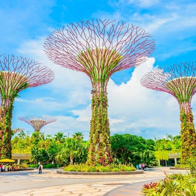 Neues Bündnis? Das ist ein Hingucker im Stadtstaat Singapur, den man auch als Symbol für stabile Verhältnisse und Wachstum deuten könnte. Nicht zufällig trafen sich nun der deutsche Außenminister und sein dortiger Kollege, um über gegenseitige Handelsbeziehungen zu reden ... (Bild: Ph. Guptin)