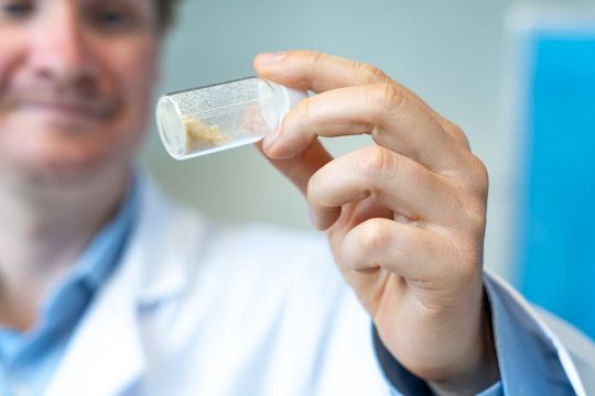 Juniorprofessor Linus Stegbauer von der TU Bergakademie Freiberg zeigt hier eine Probe des im Labor pulverisierten und getrockneten Pilzmyzels, aus dem sich die kompostierbaren Leiterplatten herstellen lassen.(Bild:  TU Bergakademie Freiberg / A. Hiekel)