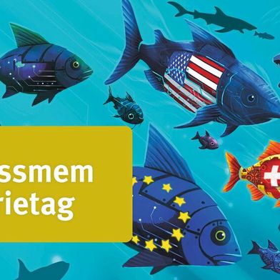 Als kleiner Fisch im grossen Teich der Weltwirtschaft zeigt die Schweiz, dass Stärke nicht von der Grösse abhängt, sondern von Agilität, Innovationskraft und Ausdauer.  (Bild: Swissmem)