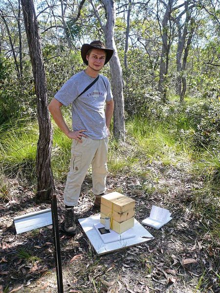 Die Forscher beobachten die Bienen in drei unterschiedlichen Habitaten, unter anderem im Wald. Hier: Benjamin Kaluza beim Wiegen eines Nistkasten (Sara Leonhardt)