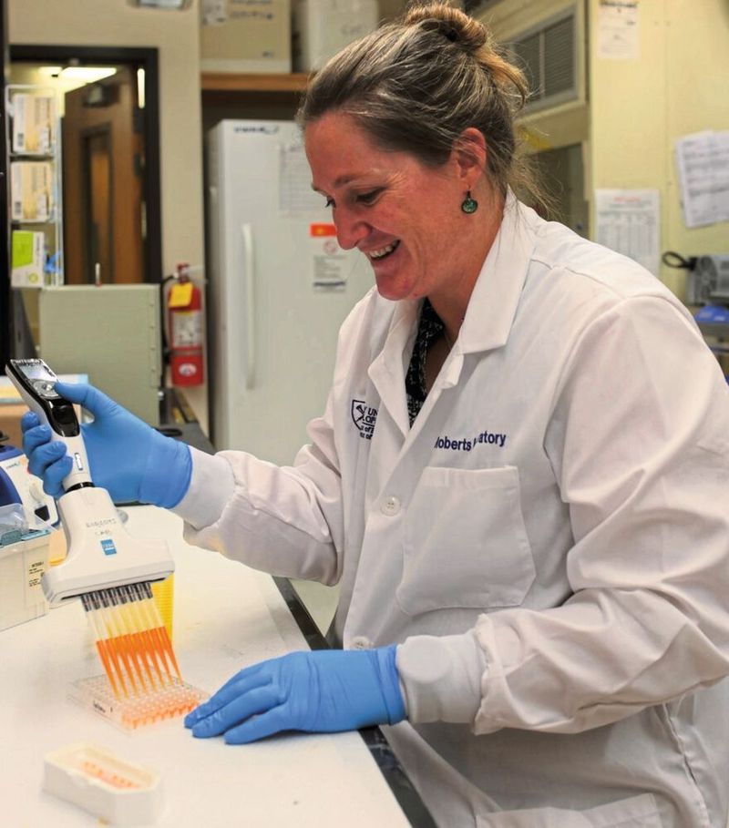 Anne Roberts arbeitet mit der Voyager-Pipette von Integra Biosciences.