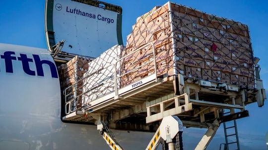 Durch die Möglichkeit der zeitlich verzögerten Gestellung kann Lufthansa Cargo die Fracht deutlich früher an die Spedition herausgeben.(Bild:  Lufthansa Cargo)