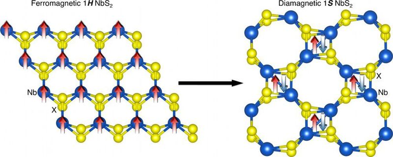 Links im Bild: ferromagnetisches NbS2 in der natürlich vorkommenden Honigwaben-(H)-Struktur. Die magnetischen Momente der am Niob lokalisierten Elektronen sind durch Pfeile dargestellt.
Rechts im Bild: in der Haeckelit-(S)-Struktur ist die lokale Geometrie der Niobatome sehr ähnlich wie in der Honigwabenstruktur. Trotzdem ist das Material diamagnetisch, wie durch die antiparallelen Spins (Pfeile) dargestellt. (Dr. Agnieszka Beata Kuc)