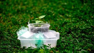 Der Biokunststoffmarkt ist im Vergleich zu konventionellen Kunststoffen noch ein recht kleines Pflänzchen. Grob gesagt kommen auf eine Tonne Biokunststoff 100 Tonnen herkömmlicher Kunststoff. (gemeinfrei)