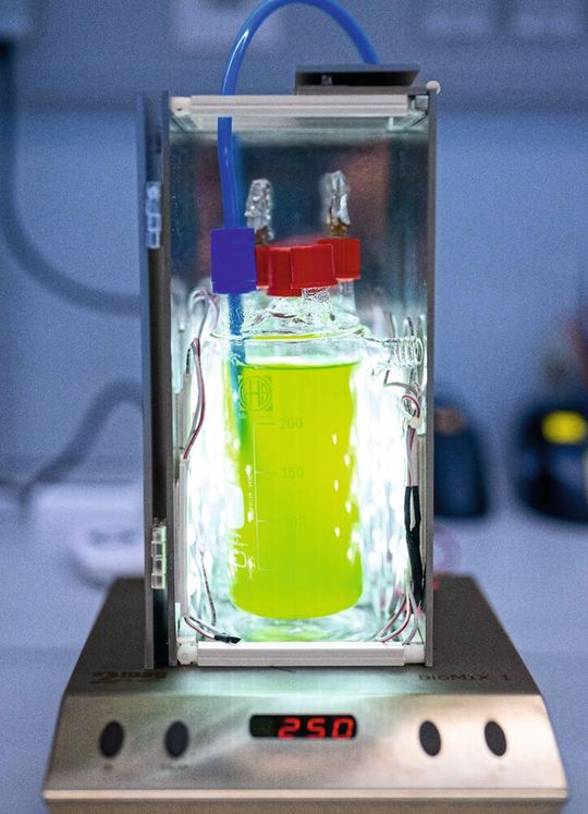 Photobioreaktor des Fraunhofer FEP im Labormaßstab zur Kultivierung von Cyanobakterien unter definierten Licht-, Temperatur- und Gasbedingungen(Bild:  Fraunhofer FEP)