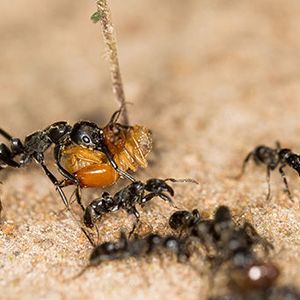 ((c) Erik Frank, Biozentrum der Universität Würzburg)