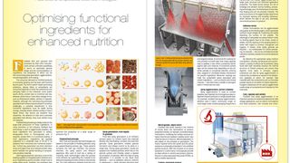 glatt-fa-110-fluid-bed-and-spouted-bed-technologies-optimising-functional-ingredients-for-enhanced-nutrition-innovations-in-food-technology-2020-11-2s (Glatt Ingenieurtechnik GmbH)