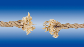 Wenn alle Stricke reißen - Dell (imageteam - stock.adobe.com_10413949)