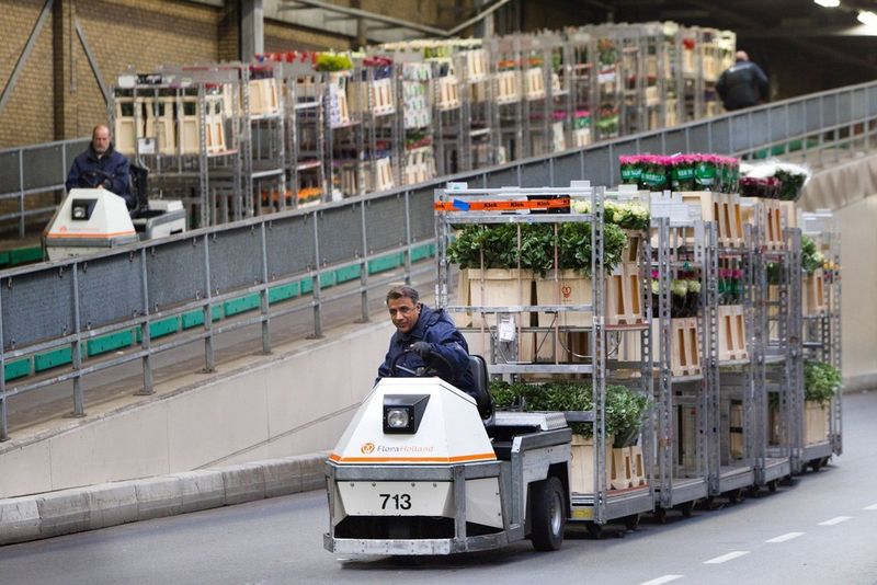 Die zunehmenden Aktivitäten auf dem Gebiet der direkten (Einzelhandels-)Logistik durch Marktteilnehmer mit Sitz in Bleiswijk werden an diesem Standort auch weiter unterstützt und ausgebaut, verspricht Flora Holland. (Bild: Flora Holland)