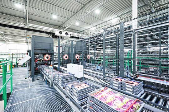 Temperaturgeführte Lager können mehrere Bereiche umfassen, von plus-gradigen Abschnitten bis hin zu Tiefkühlbereichen mit bis zu –28 °C. Temperaturgeführte Lager können mehrere Bereiche umfassen, von plus-gradigen Abschnitten bis hin zu Tiefkühlbereichen mit bis zu –28 °C.