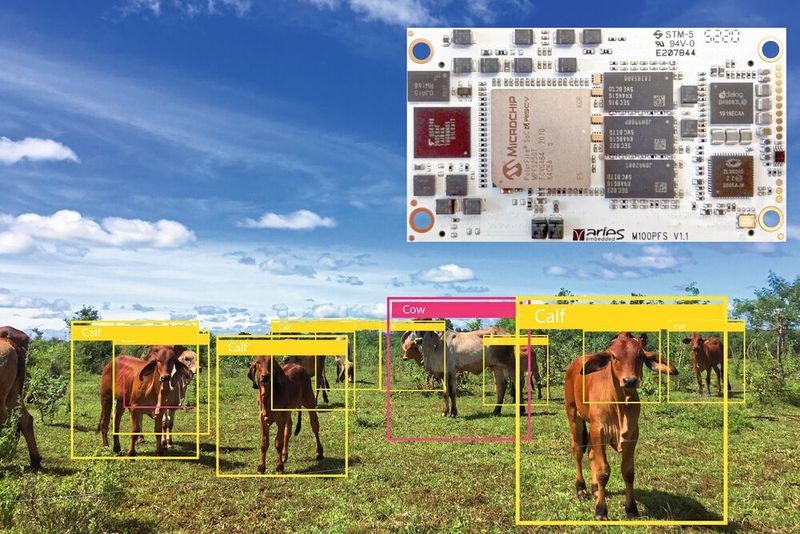 Der PolarFire SoC des M100PFS SoMs kombiniert einen vierfachen 64-Bit RISC-V 64GC-Kern und einen 64-Bit RISC-V 64 IMAC-Monitorkern. Das SoM zielt auf Anwendungen wie Smart Embedded Vision, Industrieautomatisierung, Telekommunikation und IIoT. Der PolarFire SoC des M100PFS SoMs kombiniert einen vierfachen 64-Bit RISC-V 64GC-Kern und einen 64-Bit RISC-V 64 IMAC-Monitorkern. Das SoM zielt auf Anwendungen wie Smart Embedded Vision, Industrieautomatisierung, Telekommunikation und IIoT.