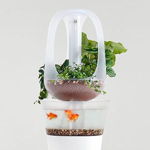 (Francois Hurtaud/Purmundus Challenge)