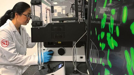 Empa-Forscherin Qun Ren sucht nach neuen Wegen gegen hartnäckige Biofilme.(Bild:  Empa)