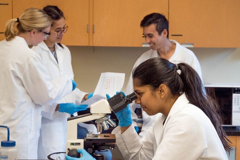 How does one create a diverse and inclusive lab that enables all members to bring their whole selves? (Public Domain)