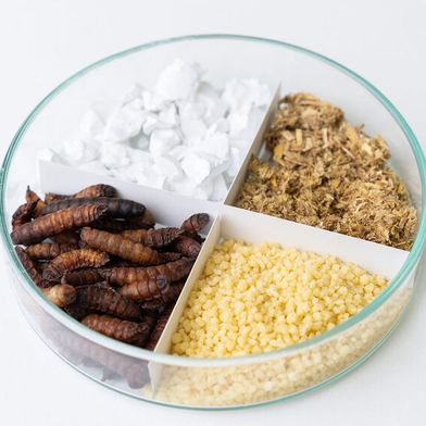 Mit Heißdampf lassen sich viele verschiedene Produkte wie Kalk, Stroh, Couscous oder Insektenlarven energieeffizient und schonend trocknen. (Bild: Fraunhofer IGB)
