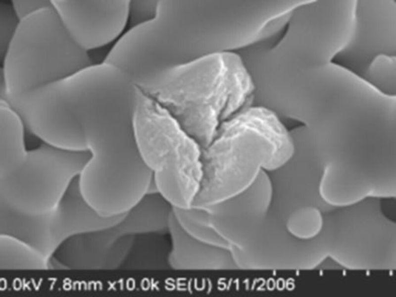Ein Hauptgrund für die Degradation: Kristallisation durch Verunreinigung des Dielektrikums. (Bild: Kemet)