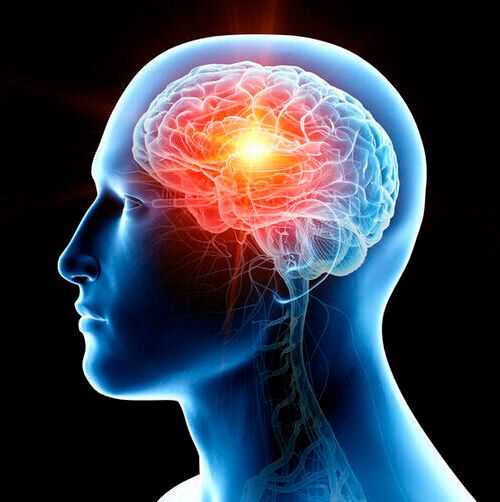 Brain tumors can someday be detected, identified and pinpointed with a new blood test. Brain tumors can someday be detected, identified and pinpointed with a new blood test.