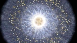 Aufnahme einer Rhizaria-Alge: Fossile Fettmoleküle stammen offenbar von diesen einzelligen Organismen und sind kein Hinweis auf die Entstehung von tierischen Organismen. ( Fabrice Not)