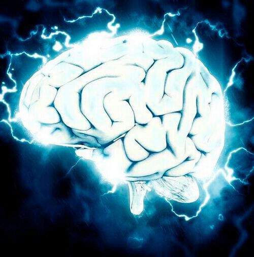 Northwestern Medicine scientists have just discovered that this mysterious and seemingly silent surface is actually one of the most colorful regions of the brain. Northwestern Medicine scientists have just discovered that this mysterious and seemingly silent surface is actually one of the most colorful regions of the brain.