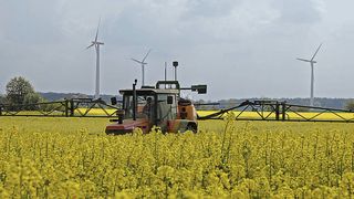 Abb. 1a: Seit September 2012 ist die EU-Verordnung 225/2012 in Kraft, die u.a. verschärfte Untersuchungspflichten für Futterfette auf Dioxine und dioxinähnliche PCB vorsieht. ... (Bild: Erwin Lorenzen, pixelio.de)